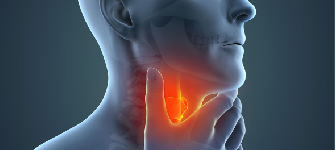 CT Scan Sinus Malad